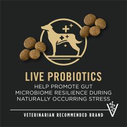 pro-plan_dog_large_beef_rice_6