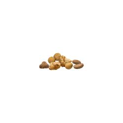 alimento_seco_para_gatos_adultos_de_pollo-y-arroz_pro-plan
