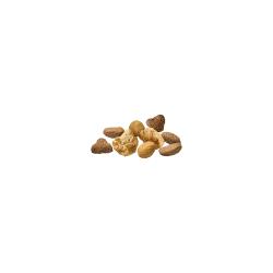 alimento_seco_para_gatos_adultos_de_salmon-y-arroz_pro-plan
