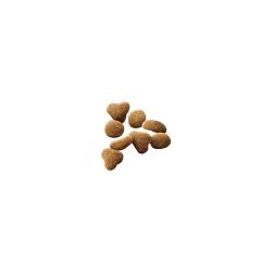 pro-plan_dry_complete-essntials_chicken-rice_-hairball-formula_kibbel
