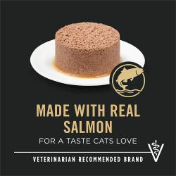 salmon-humedo-para-gatos-adultos-pro-plan-uth-2