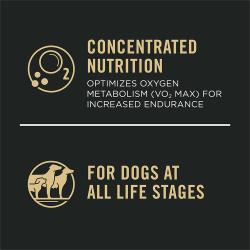 Dog food package label highlighting 'Concentrated Nutrition' and 'For Dogs at All Life Stages'