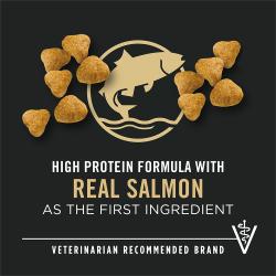 Dog food package label highlighting 'High Protein,' 'Real Salmon' and 'Vet Recommended'