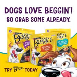 ¡Los perros aman Beggin’! No te quedes sin los tuyos. Prueba Beggin’ hoy mismo.