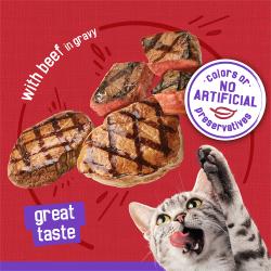 with beef in gravy