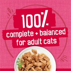 One hundred percent complete and balanced nutrition for adult cats