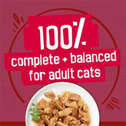 Una nutrición 100 % completa y balanceada para gatos