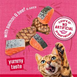 Made with real salmon and beef