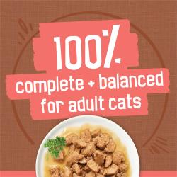 100% complete and balanced nutrition