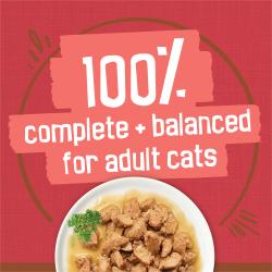 100 percent complete and balanced nutrition for adult cats