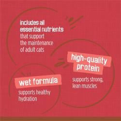 Incluye todos los nutrientes esenciales para gatos adultos