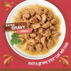extra gravy your cat will love