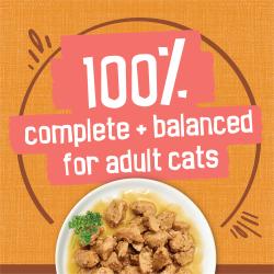 Una nutrición 100 % completa y balanceada para gatos adultos