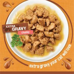 Salsa extra preparada con jugo de cocción que a tu gato le encantará