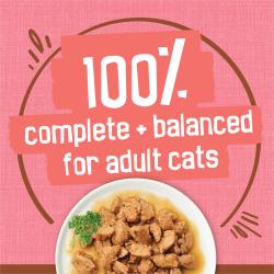 100 percent complete and balanced nutrition for adult cats