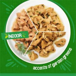 Indoor accents of garden greens