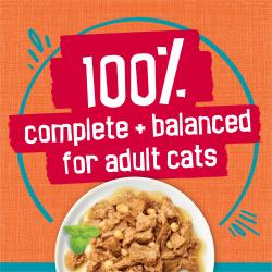100 percent complete and balanced for adult cats