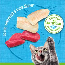 No artificial colors or preservatives