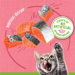 no artificial colors or preservatives