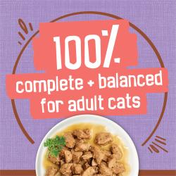 100 percent complete and balanced nutrition for adult cats