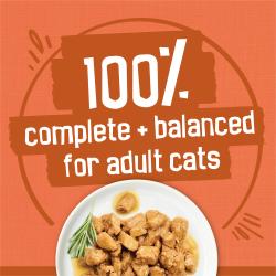 100 percent complete and balanced nutrition for cats
