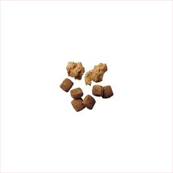 Purina Pro Plan Adult 7+ Shredded Blend senior dog food kibble