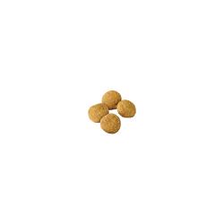 Purina Pro Plan Adult Large Breed dry dog food kibble
