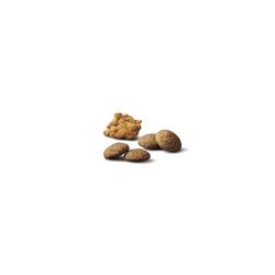 Pro Plan Large Breed Shredded Blend dry dog food kibble