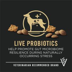 Etiqueta del paquete de alimento para perros que resalta “Probióticos vivos” y “Marca recomendada por veterinarios”