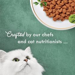 Elaborado por nuestros chefs y nutricionistas de gatos - gato blanco y comida para gatos en un plato elegante.