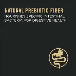 La fibra prebiótica natural nutre bacterias intestinales específicas para la salud digestiva.