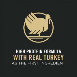 High protein formula with real turkey as the first ingredient