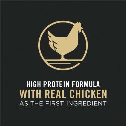 High protein formula with real chicken as the first ingredient