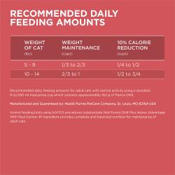 recommended daily feeding amounts