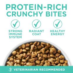 protein-rich crunchy bites