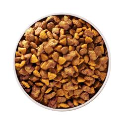 Purina ONE +Plus Fórmula Saludable para Cachorros Comida Seca para Perros en el tazón