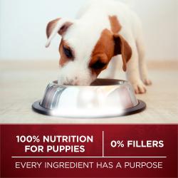 100 percent nutrition for puppies
