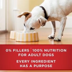 Nutrición al 100% para perros adultos