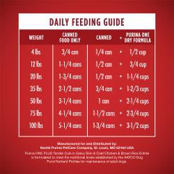 daily feeding guide