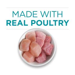 Natural cat food made with real poultry to help support your cat's strong muscles