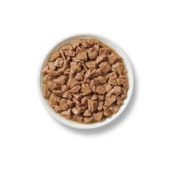 Purina ONE Natural, High Protein Cat Food, Chicken and Turkey Recipe in Gravy