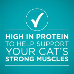 High quality cat food delivering purposeful nutrition to support lifelong whole-body health