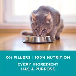 Natural cat food with added vitamins, minerals and nutrients provides 100 percent complete and balanced nutrition for all life stages
