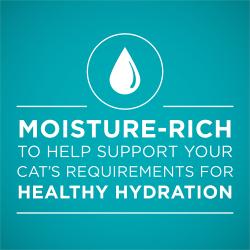 Moisture-rich, high quality cat food for cats supports healthy hydration