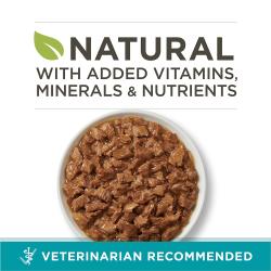 Natural cat food Purina ONE is veterinarian-recommended