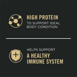 Dog food package label highlighting High Protein and Helps Support a Healthy Immune System