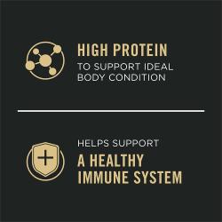 Dog food package label highlighting High Protein and Helps Support a Healthy Immune System