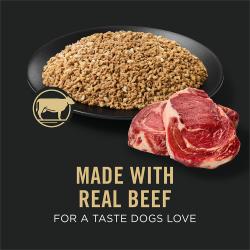 Dog food package label highlighting Made with Real Beef for a Taste Dogs Love