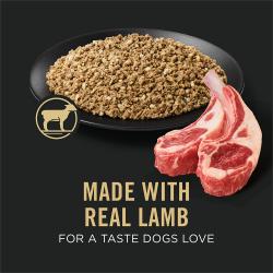Dog food package label highlighting Made with Real Lamb for a Taste Dogs Love