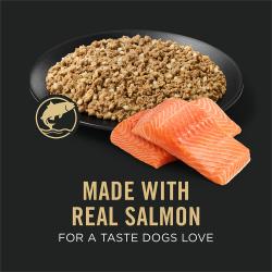Dog food package label highlighting Made with Real Salmon for a Taste Dogs Love